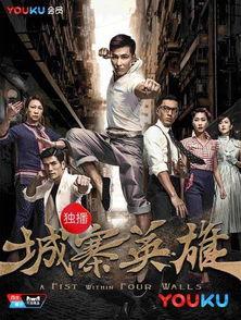 城寨英雄国语在线观看,重温香港经典剧集，感受江湖传奇魅力  第2张